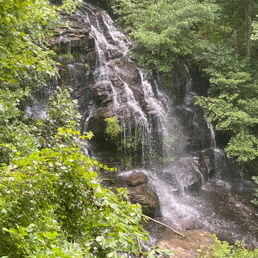 Meet your Posher, Robin